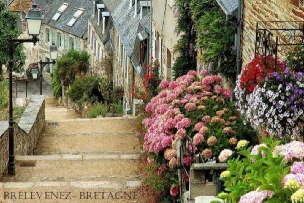 Maison Du Martin Pecheur A Lannion Esterno foto